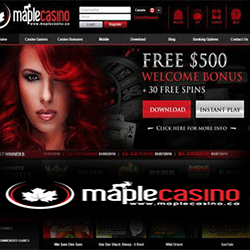 maple casino